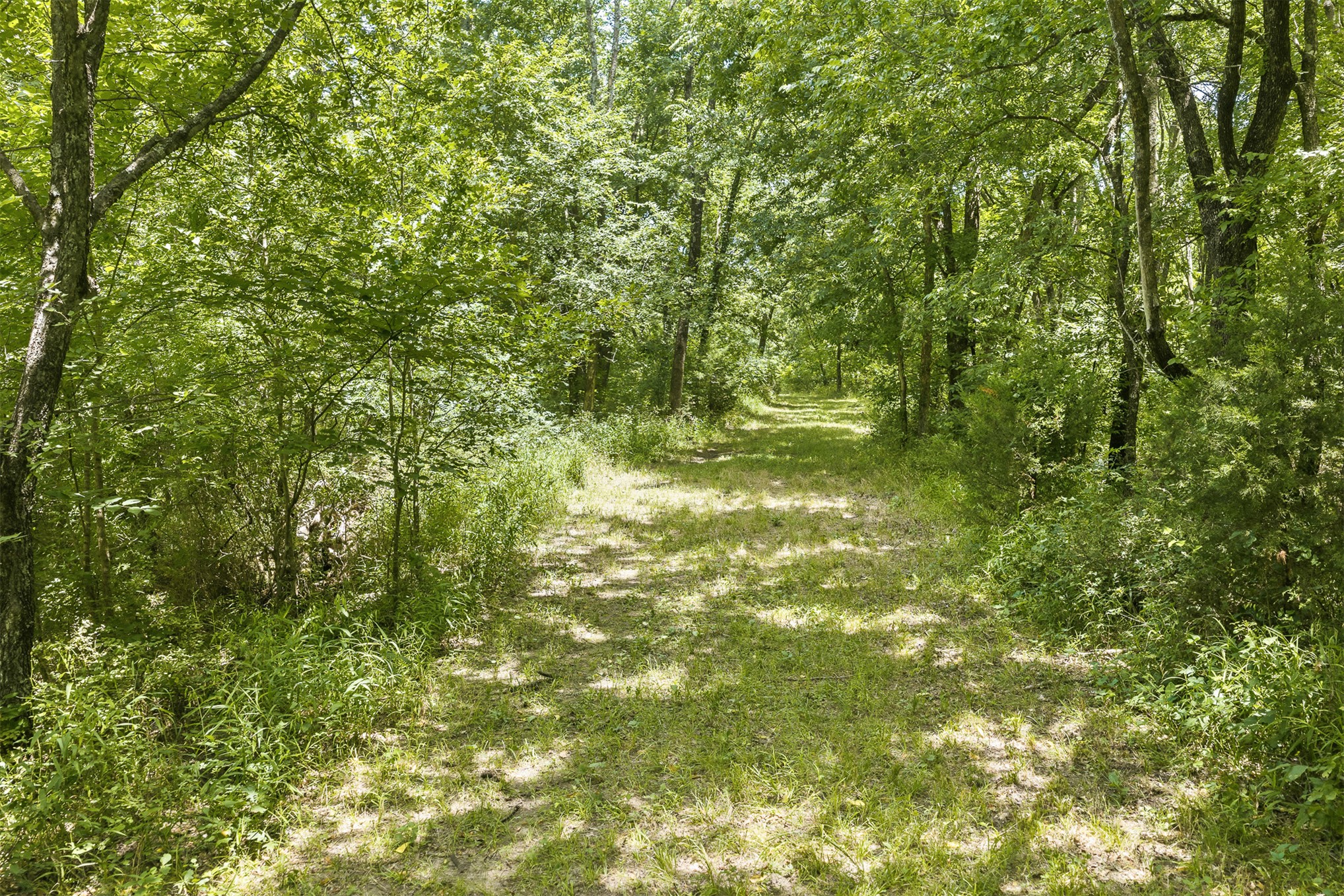 2474 S Log Cabin Property Photo 33