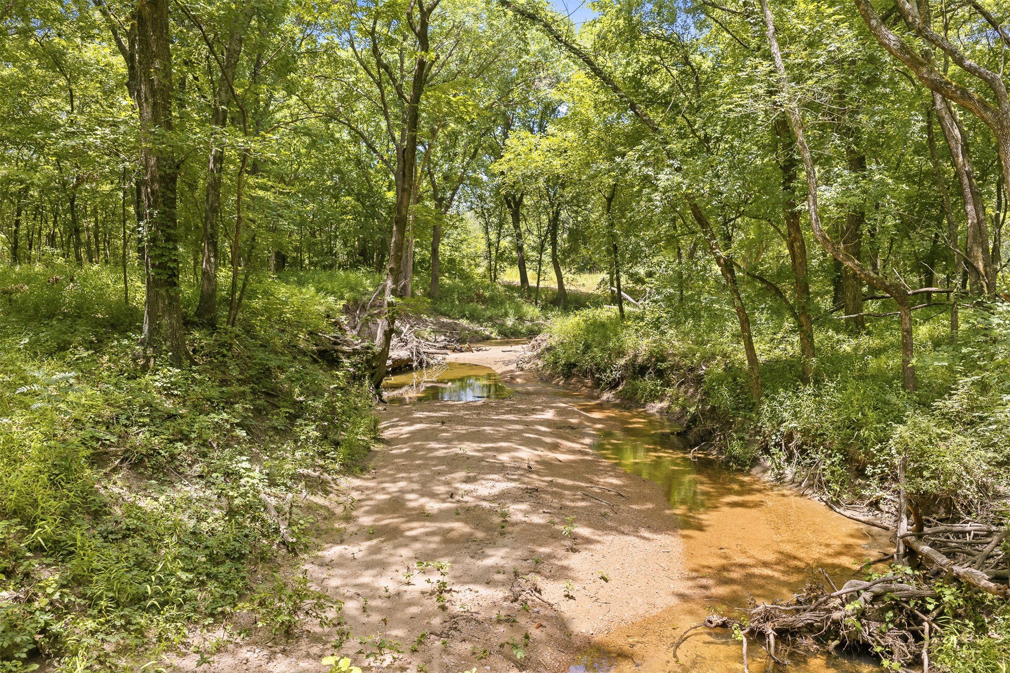 2474 S Log Cabin Property Photo 35