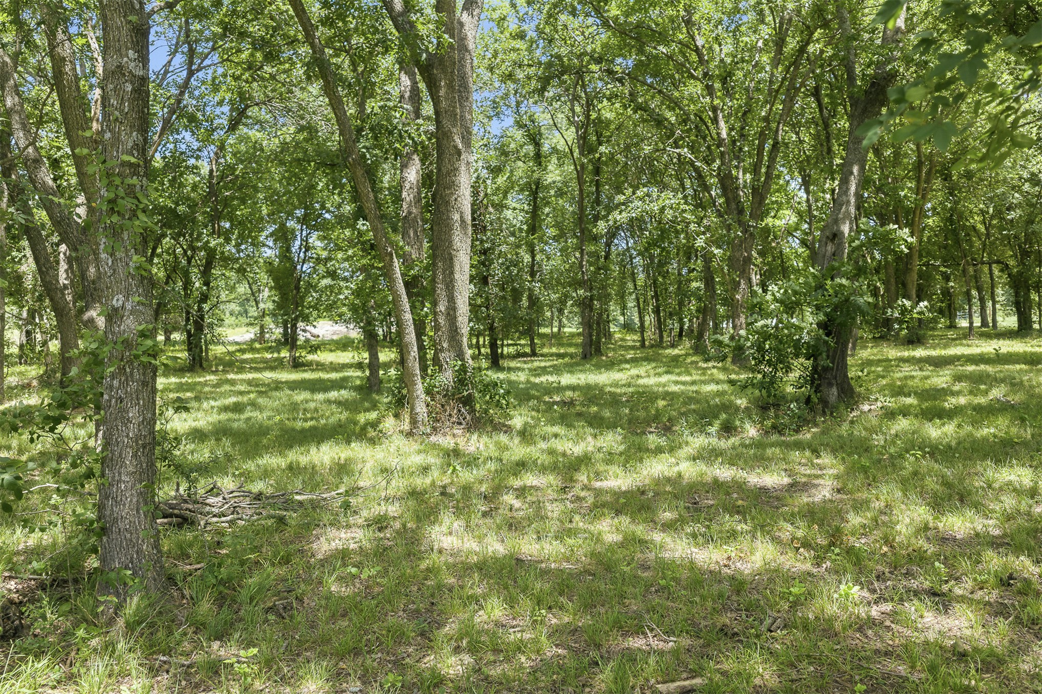 2474 S Log Cabin Property Photo 37