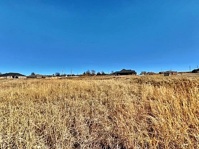 17540 W Tray Road Property Photo 11