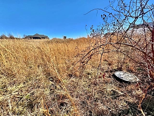 17540 W Tray Road Property Photo 22