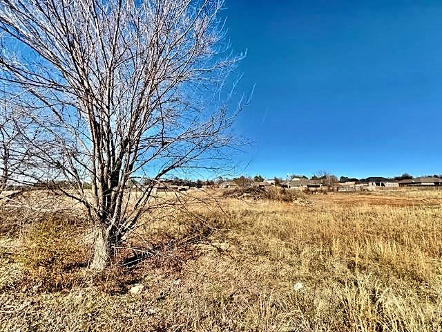 17530 W Tray Road Property Photo 20