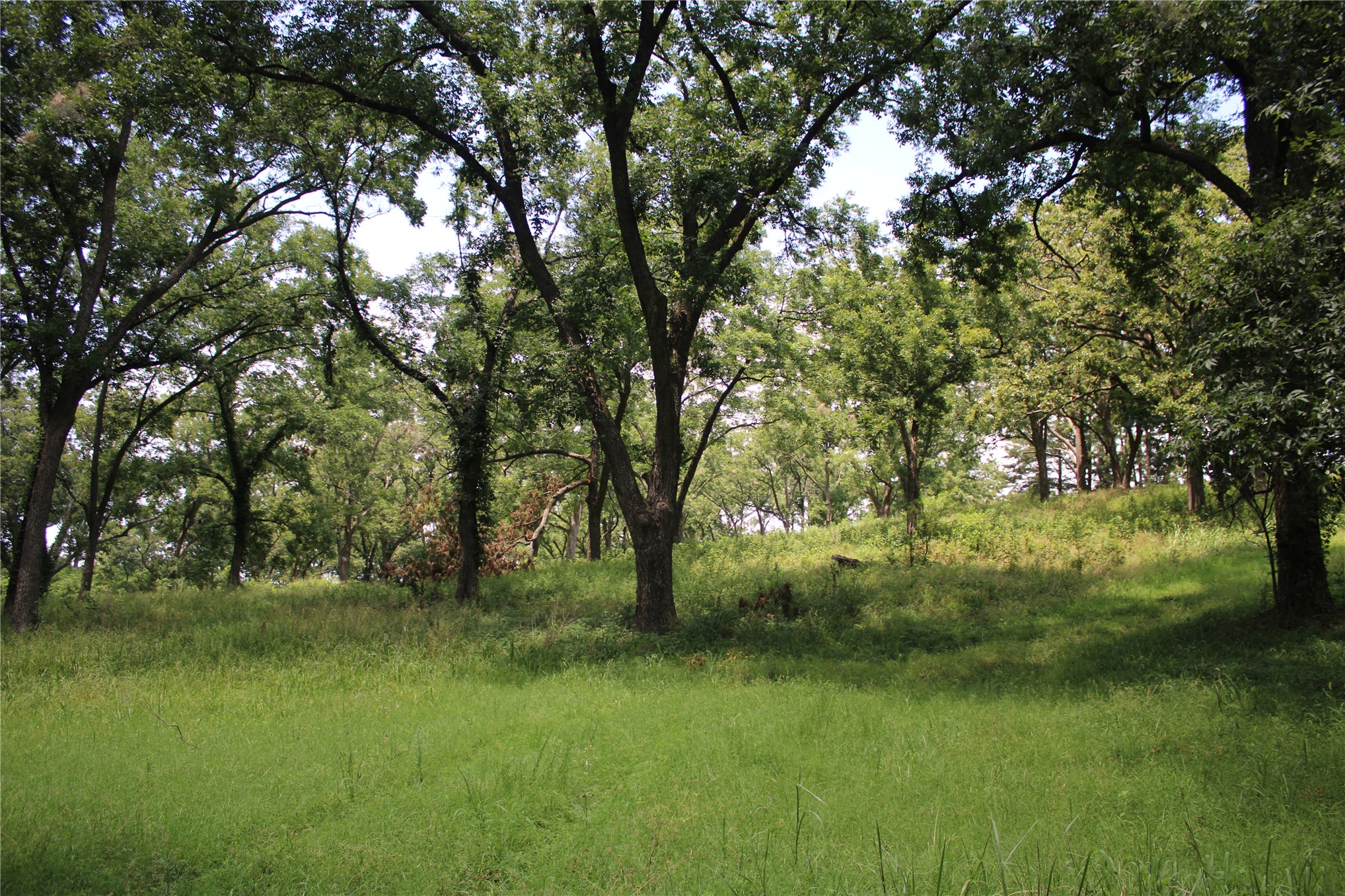 0000 Hwy 10 Property Photo 19