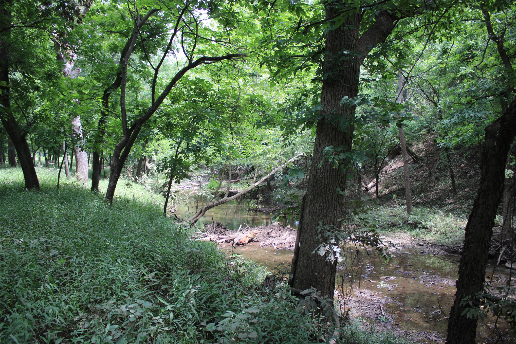 0000 Hwy 10 Property Photo 26