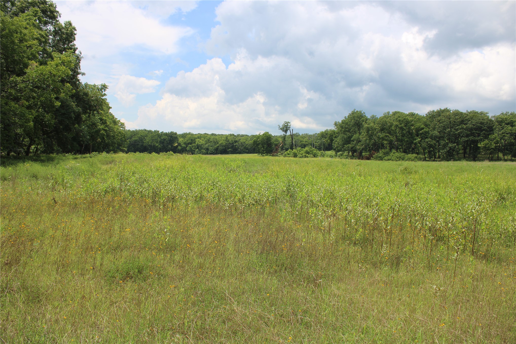 0000 Hwy 10 Property Photo 31