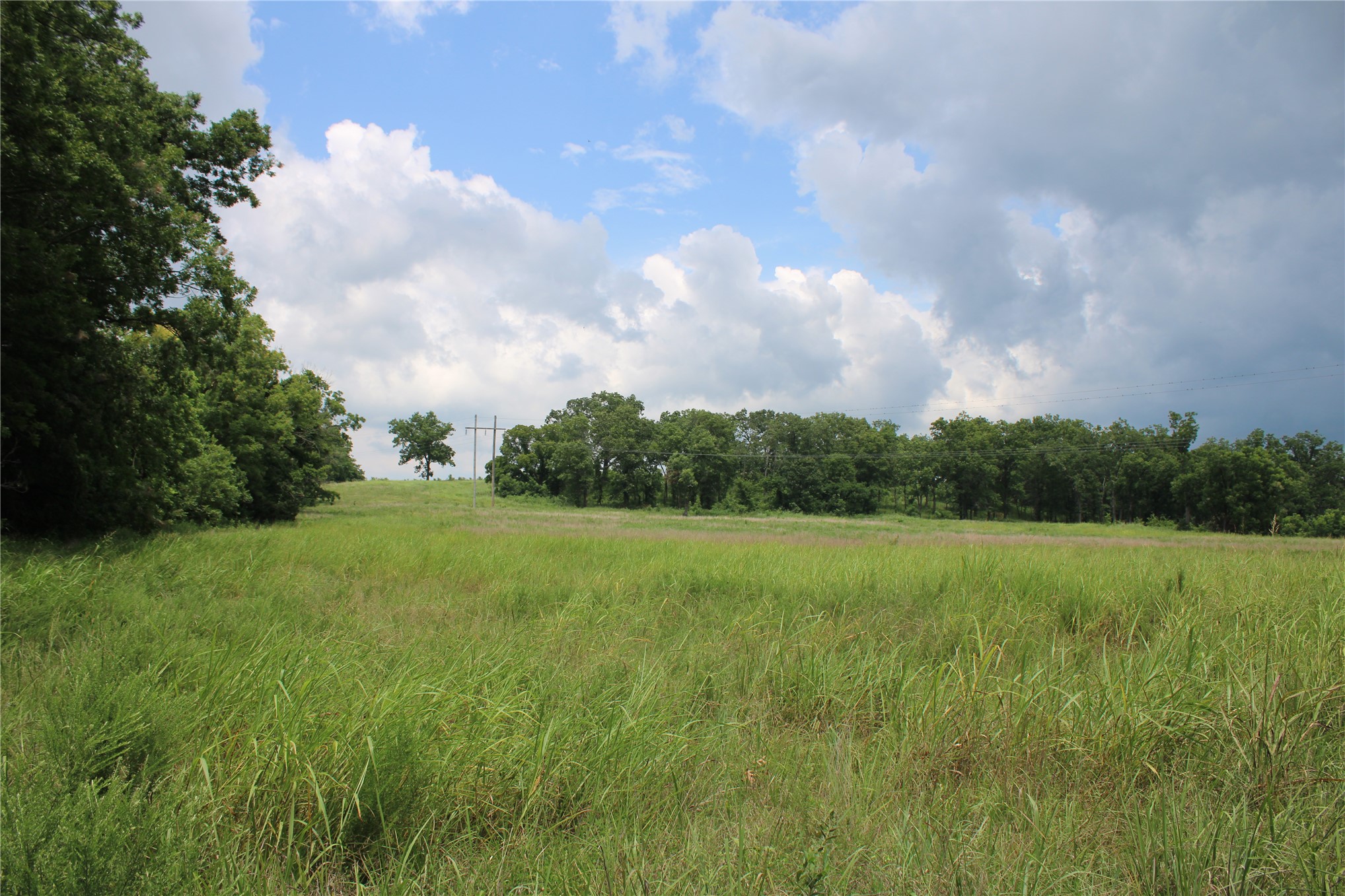 0000 Hwy 10 Property Photo 33