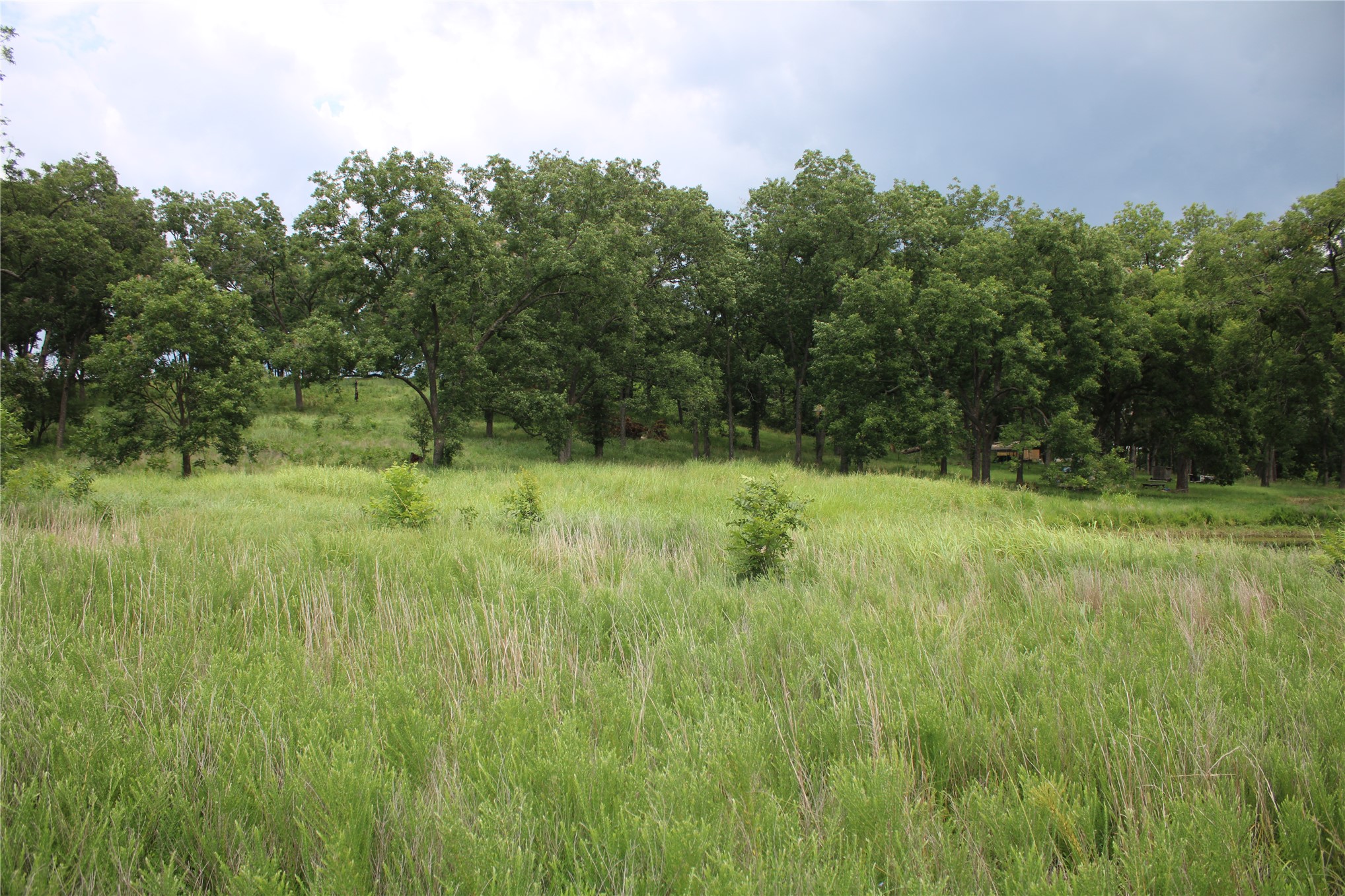 0000 Hwy 10 Property Photo 37