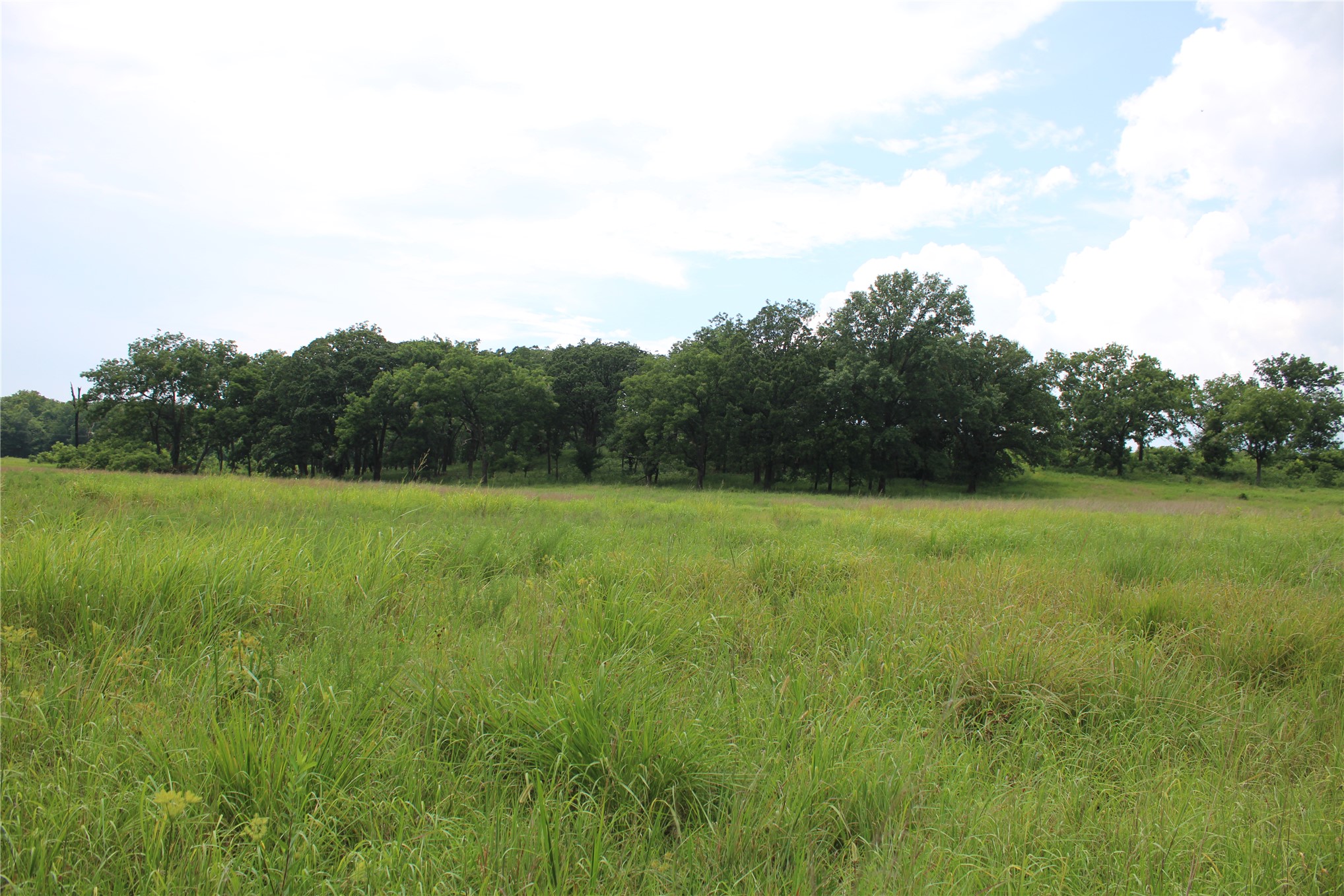 0000 Hwy 10 Property Photo 39