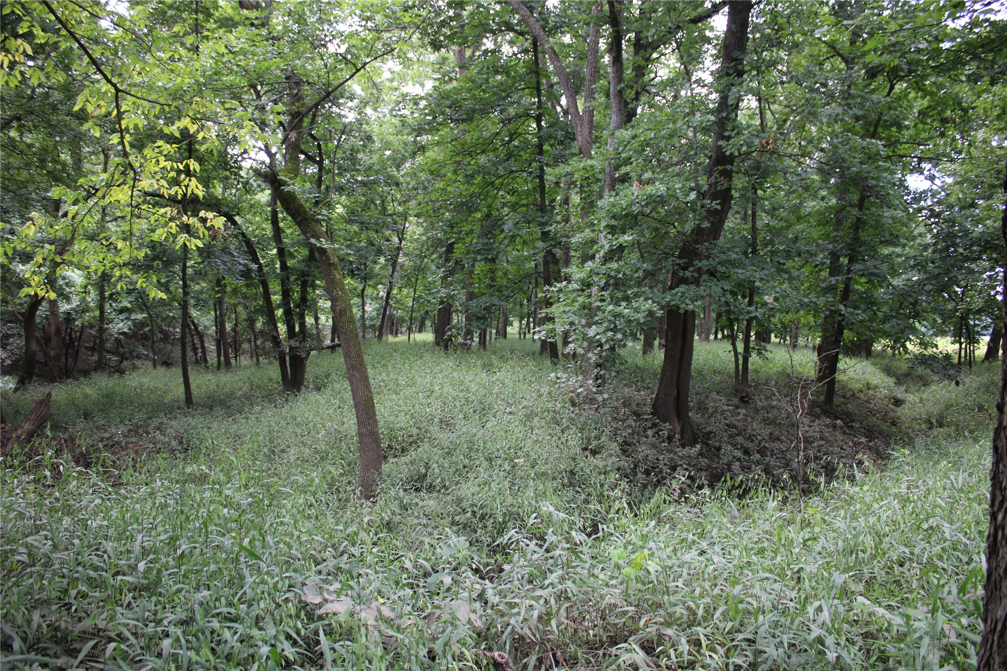 0000 Hwy 10 Property Photo 45