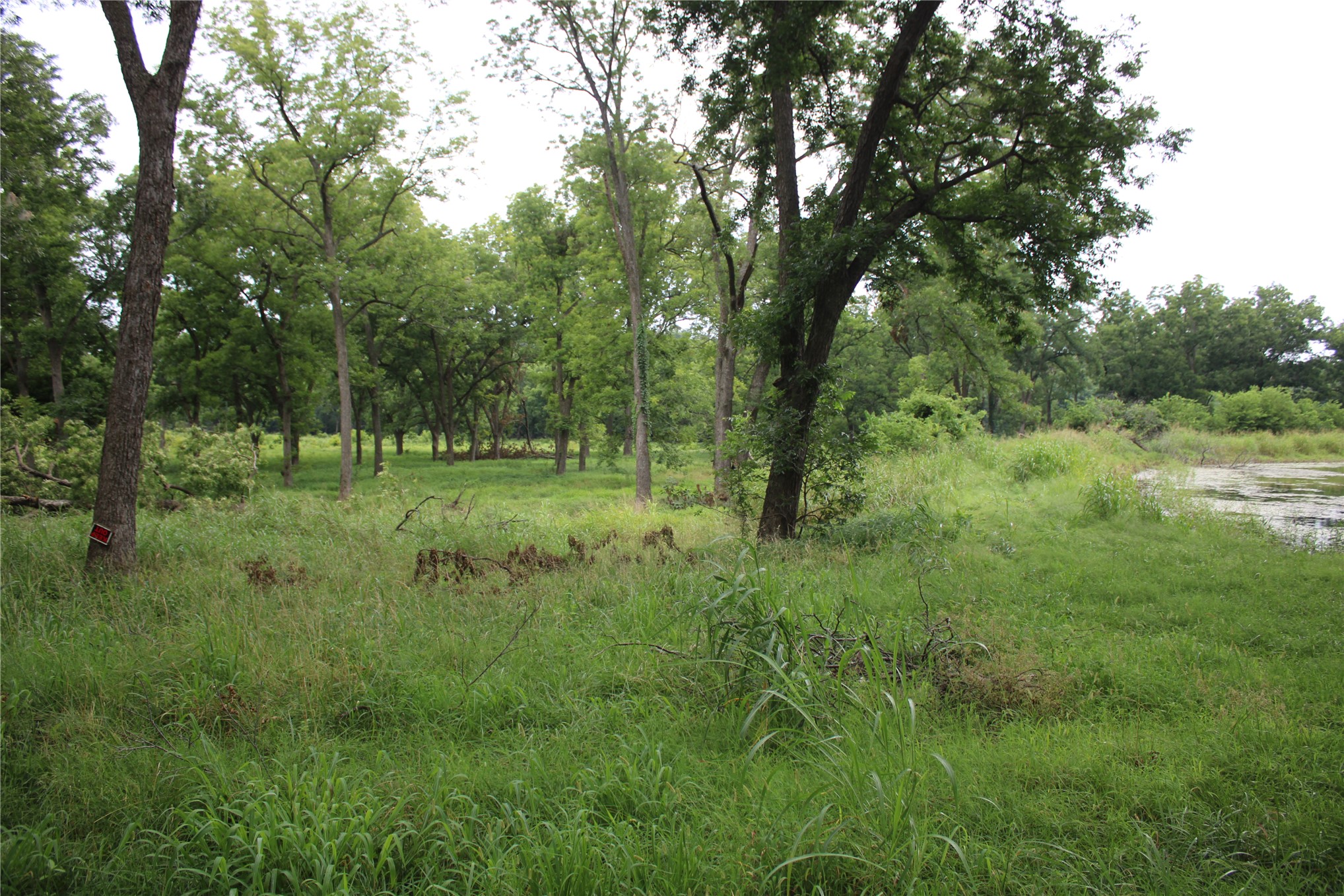 0000 Hwy 10 Property Photo 49