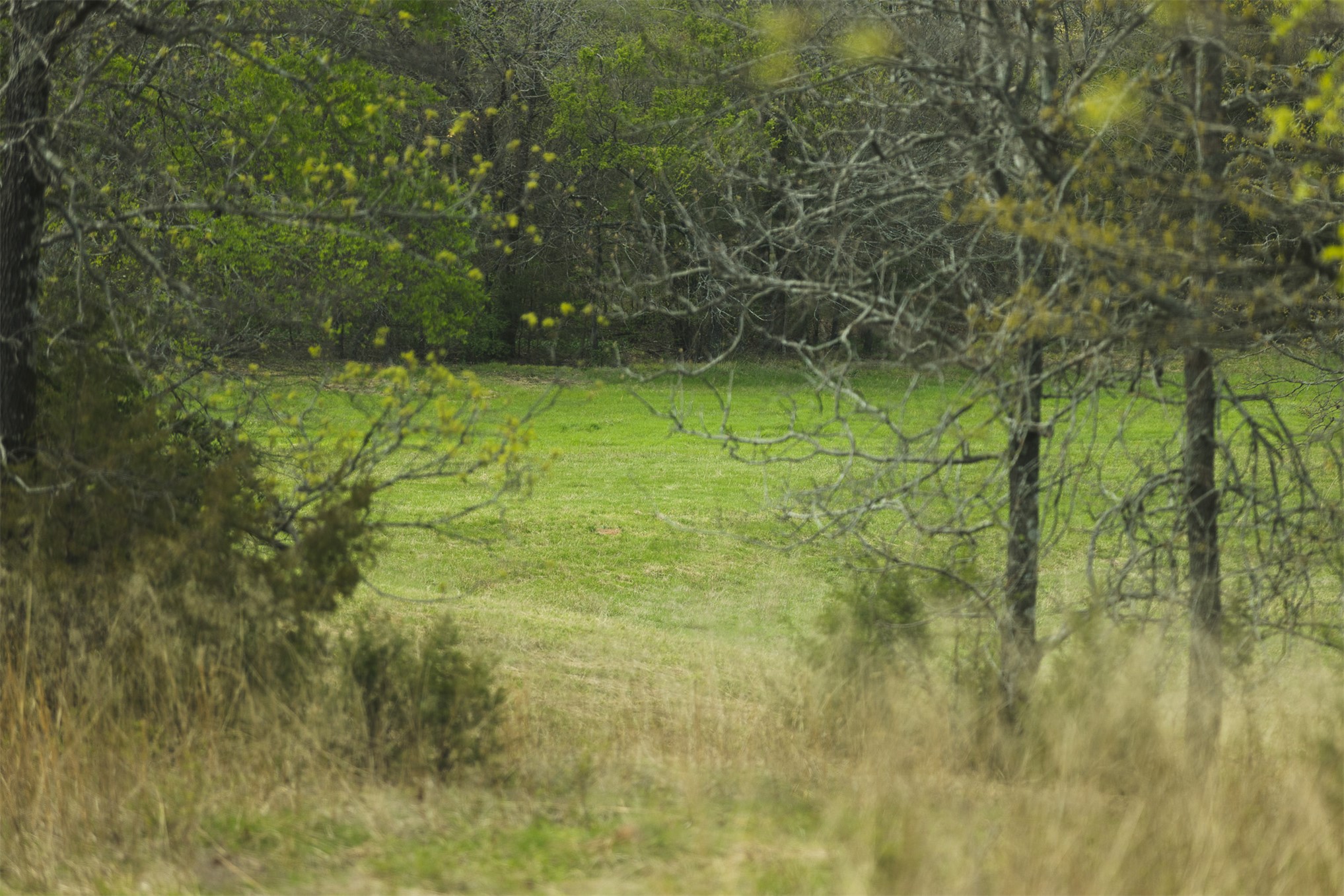 452533 E 1627 Road Property Photo 43
