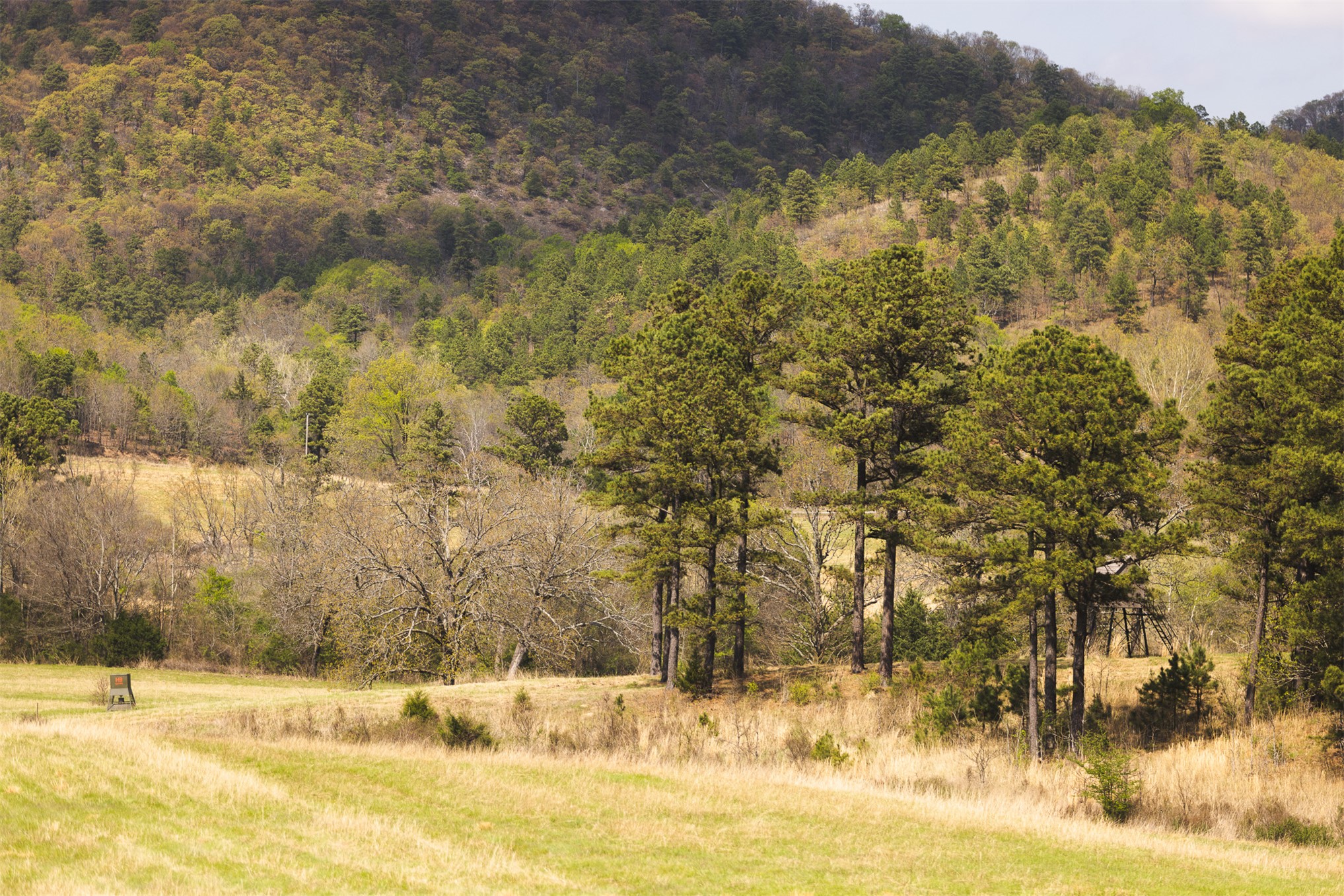 452533 E 1627 Road Property Photo 44