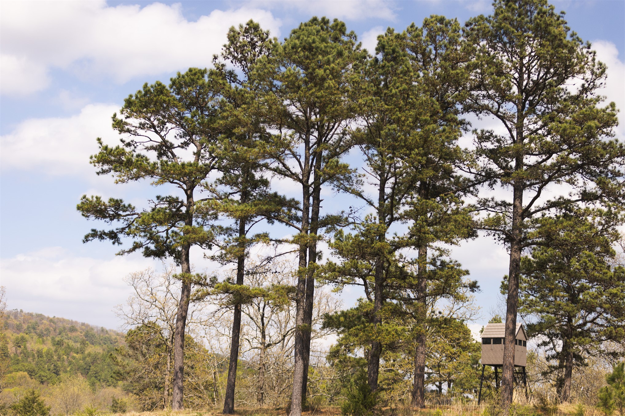 452533 E 1627 Road Property Photo 57