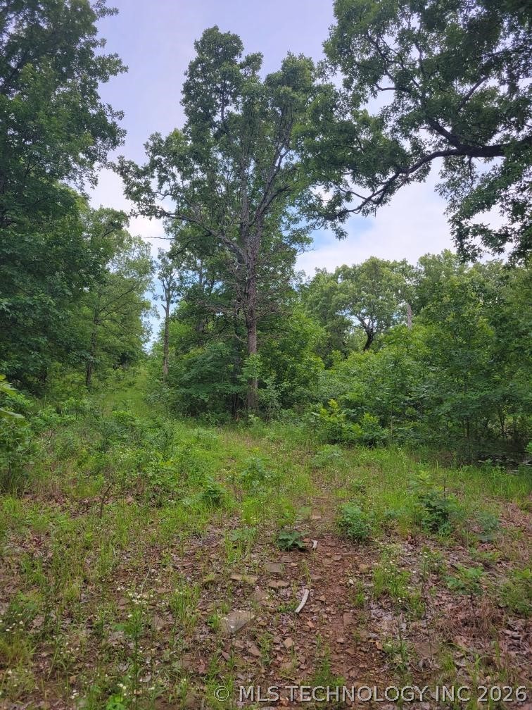 140 Gaines Creek Property Photo 2