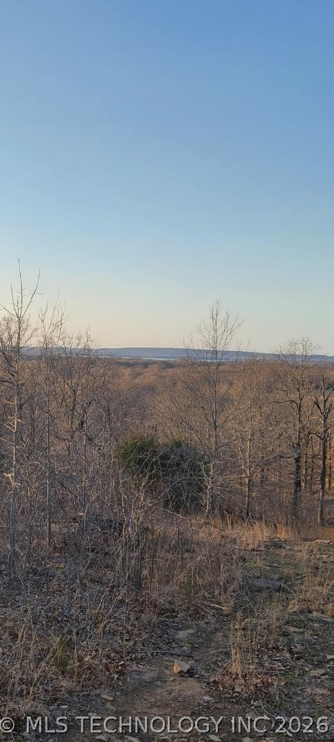 140 Gaines Creek Property Photo 8