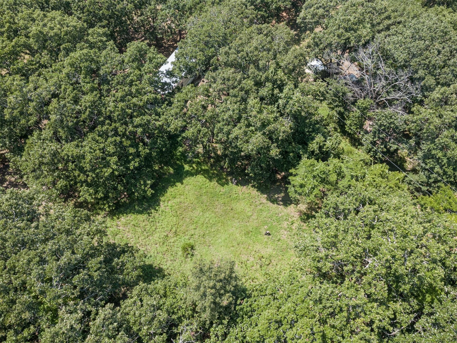 16122 S Maple Drive Property Photo 43