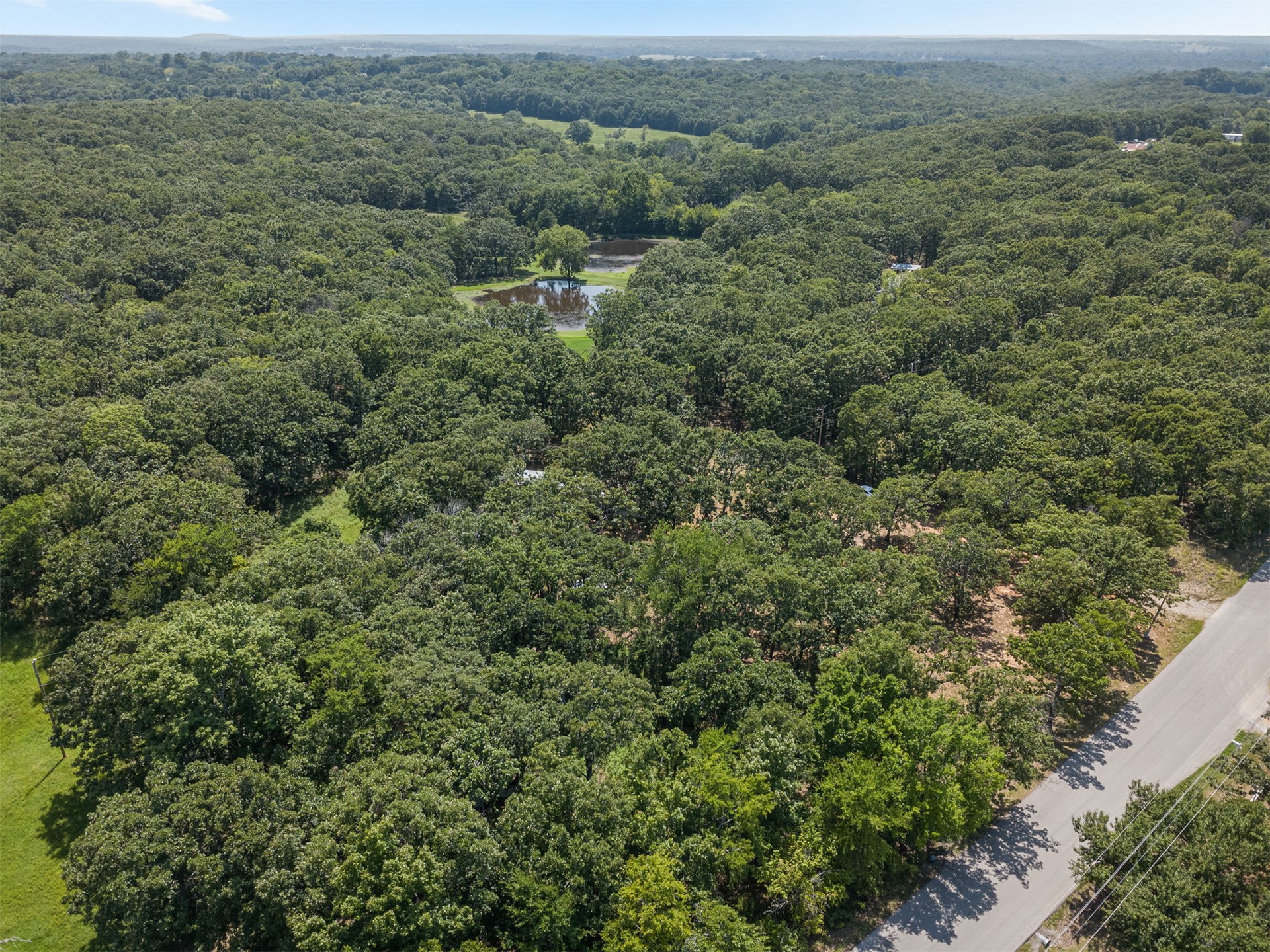 16122 S Maple Drive Property Photo 48