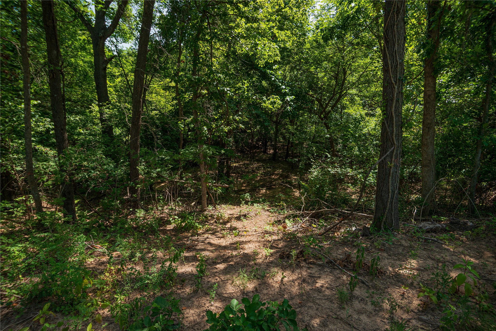 34295 Basin Road Property Photo 8