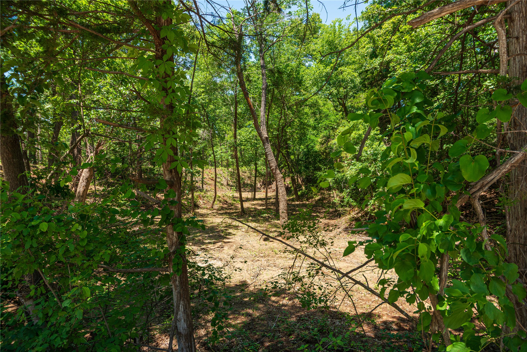 34295 Basin Road Property Photo 9