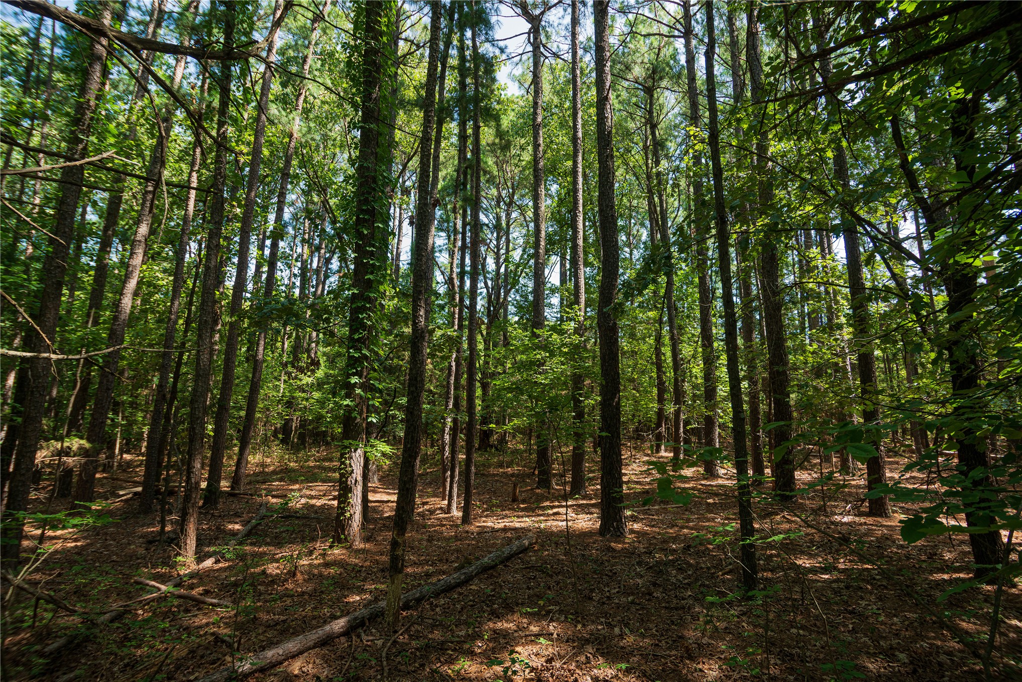 34295 Basin Road Property Photo 10