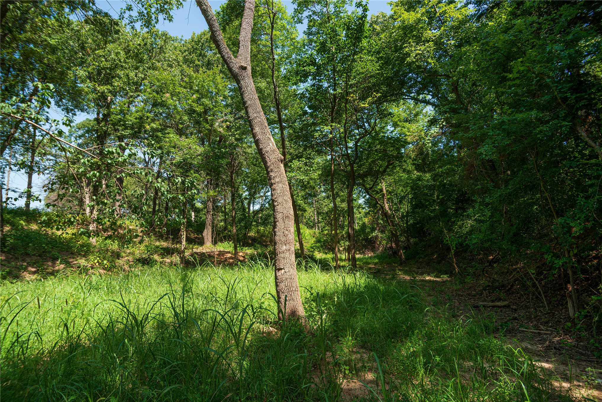 34295 Basin Road Property Photo 14
