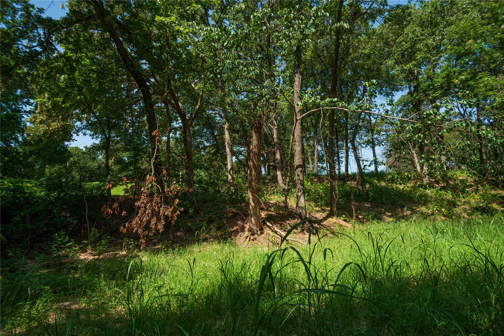 34295 Basin Road Property Photo 15