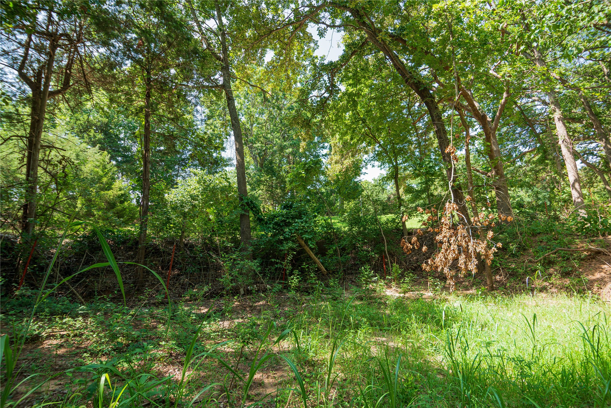 34295 Basin Road Property Photo 16