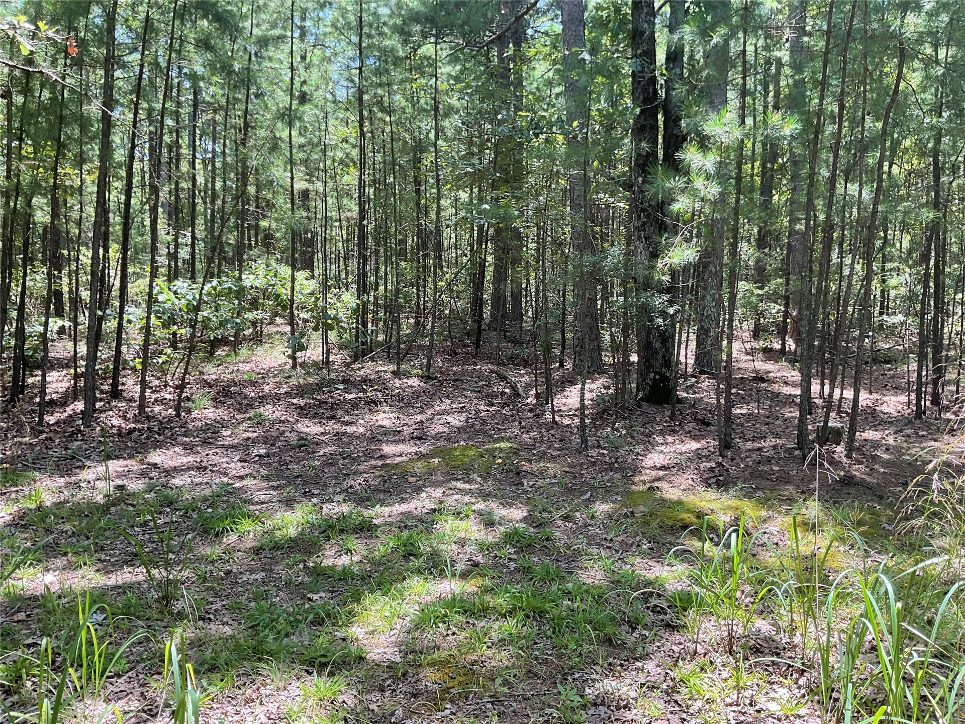 181201 Flat Top Road Property Photo 1
