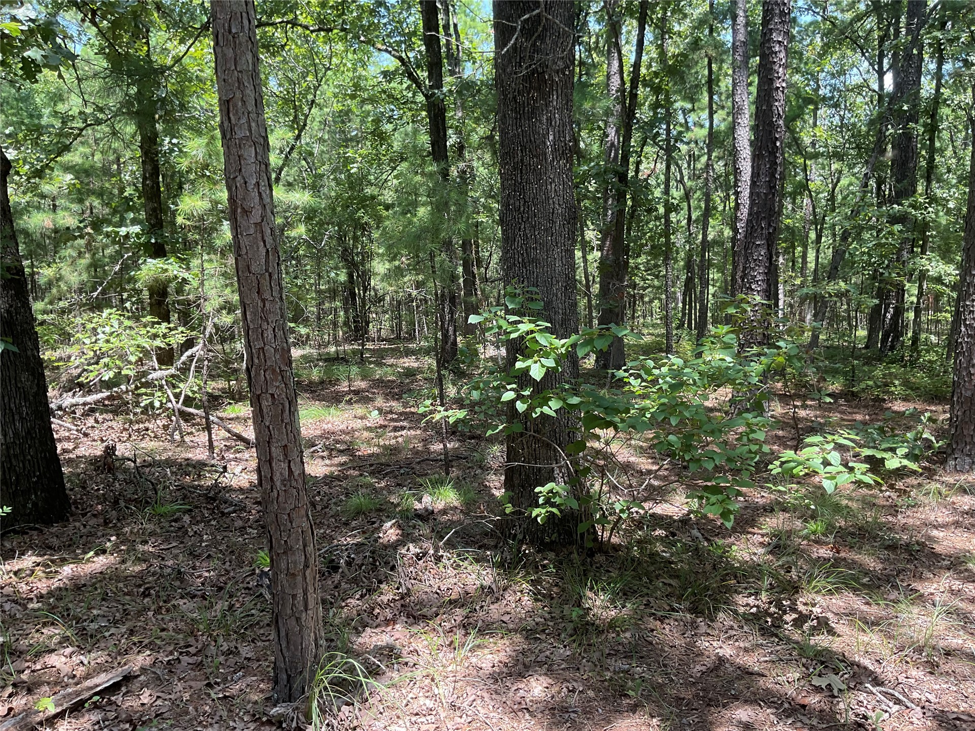 181201 Flat Top Road Property Photo 2