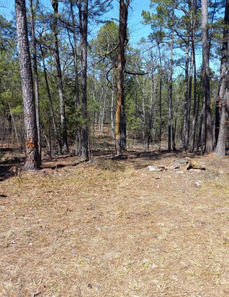 181201 Flat Top Road Property Photo 5