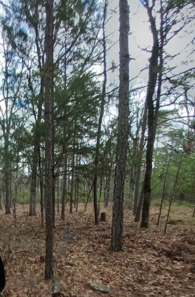 181201 Flat Top Road Property Photo 6