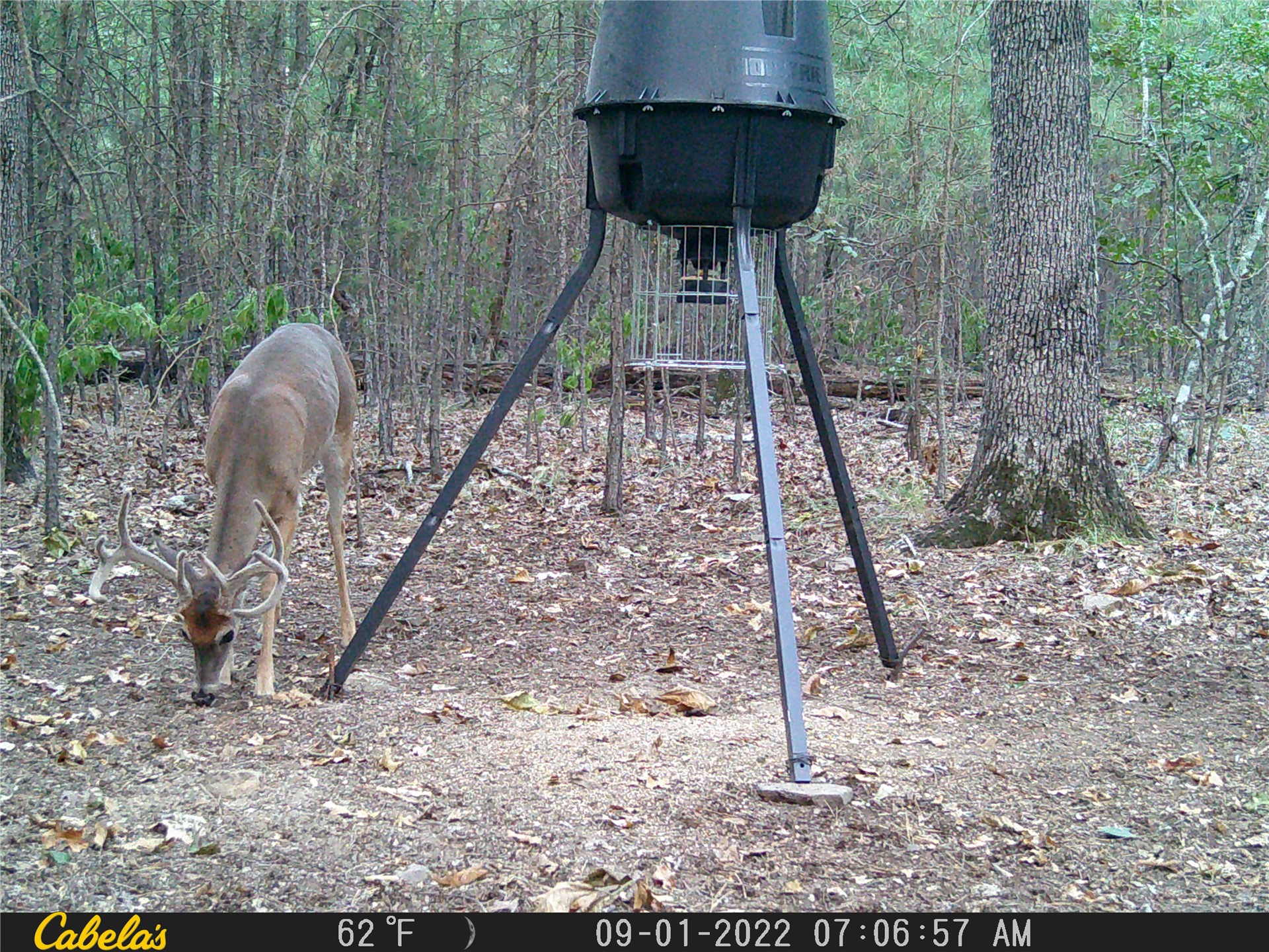 181201 Flat Top Road Property Photo 10