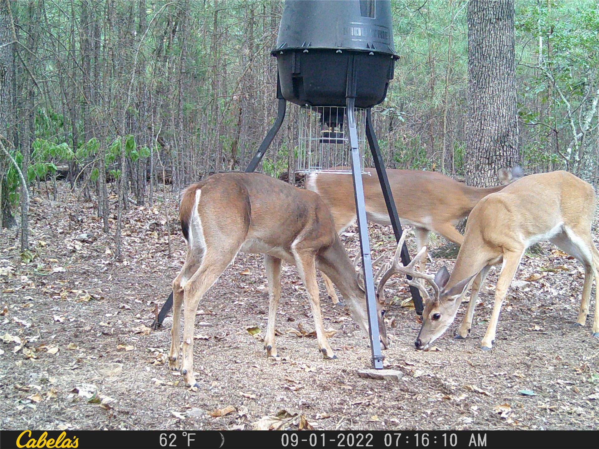 181201 Flat Top Road Property Photo 11