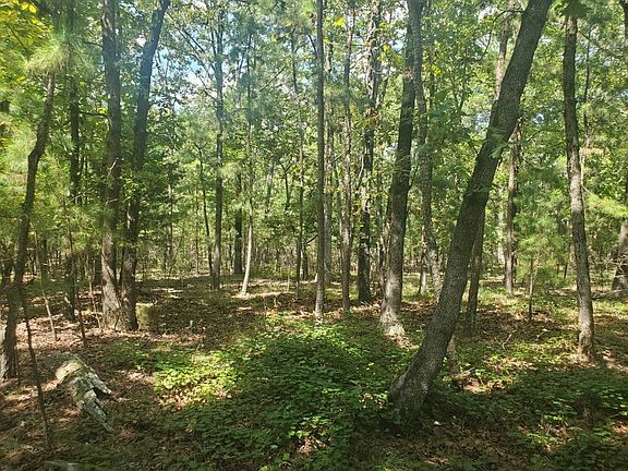 181201 Flat Top Road Property Photo 13