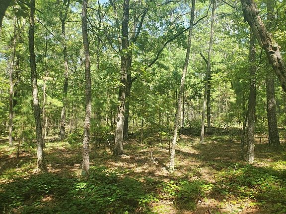 181201 Flat Top Road Property Photo 14
