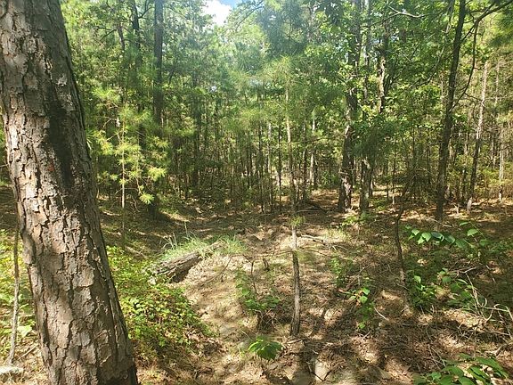 181201 Flat Top Road Property Photo 15