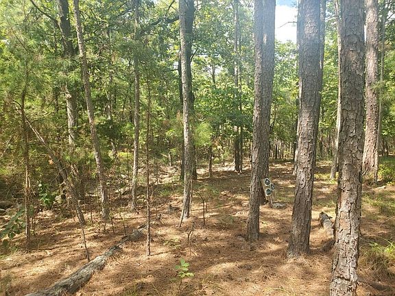 181201 Flat Top Road Property Photo 17