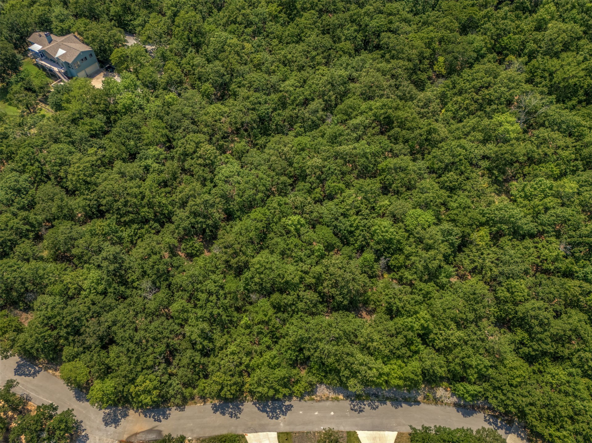 Mustang Trail Property Photo 13