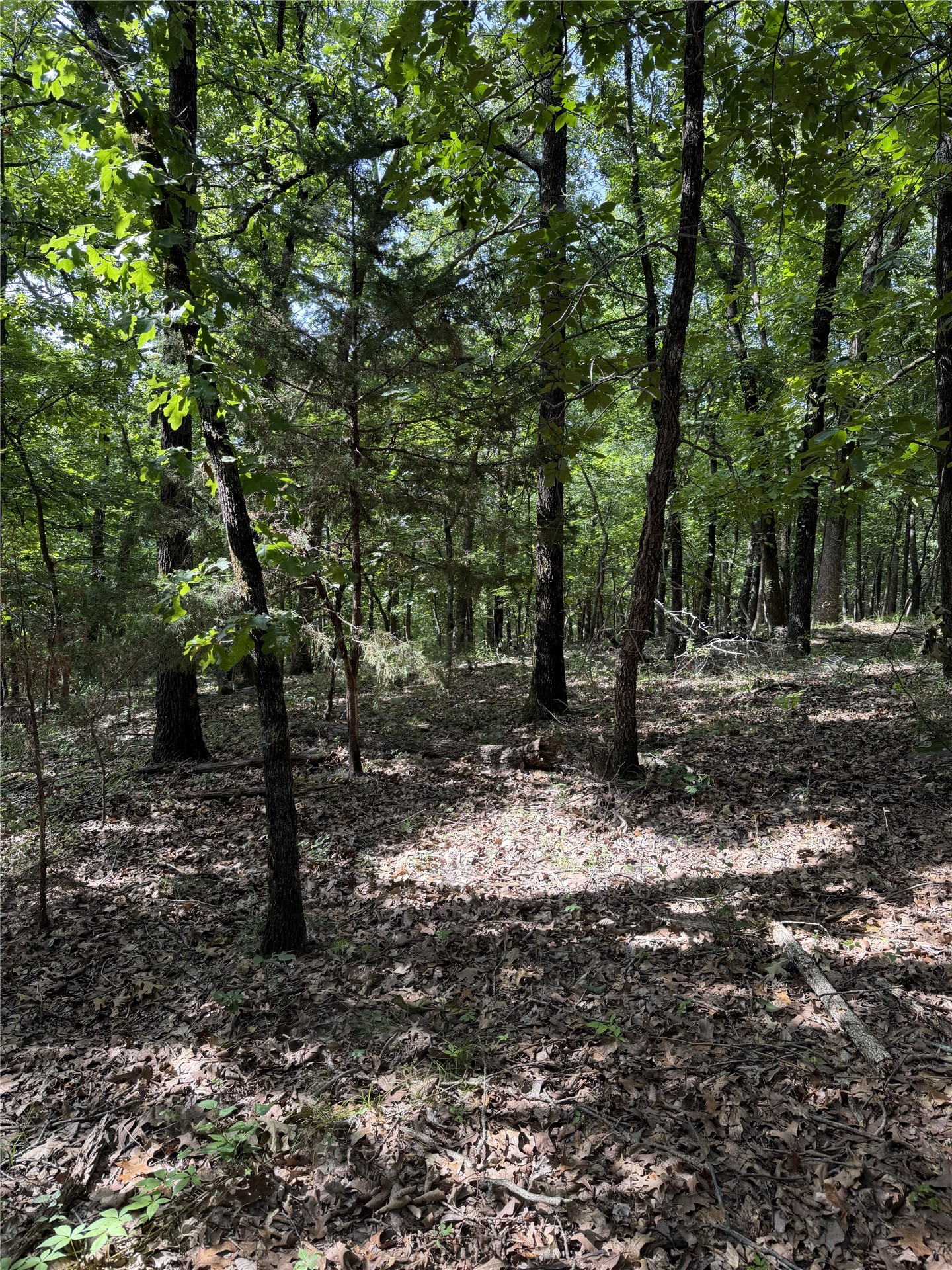 E 1100 Road Property Photo 1