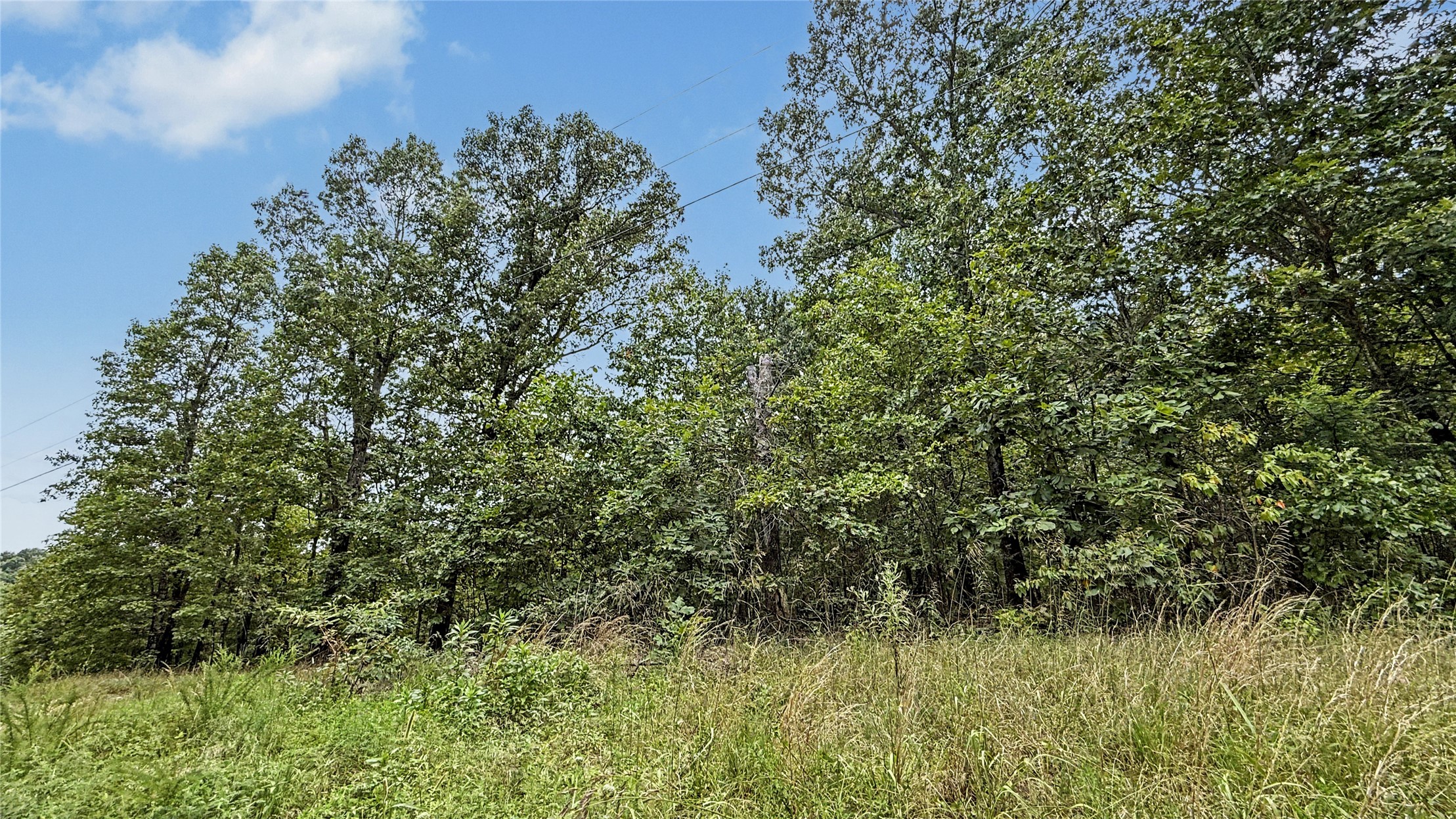 28280 Lame Deer Ridge Road Property Photo 3