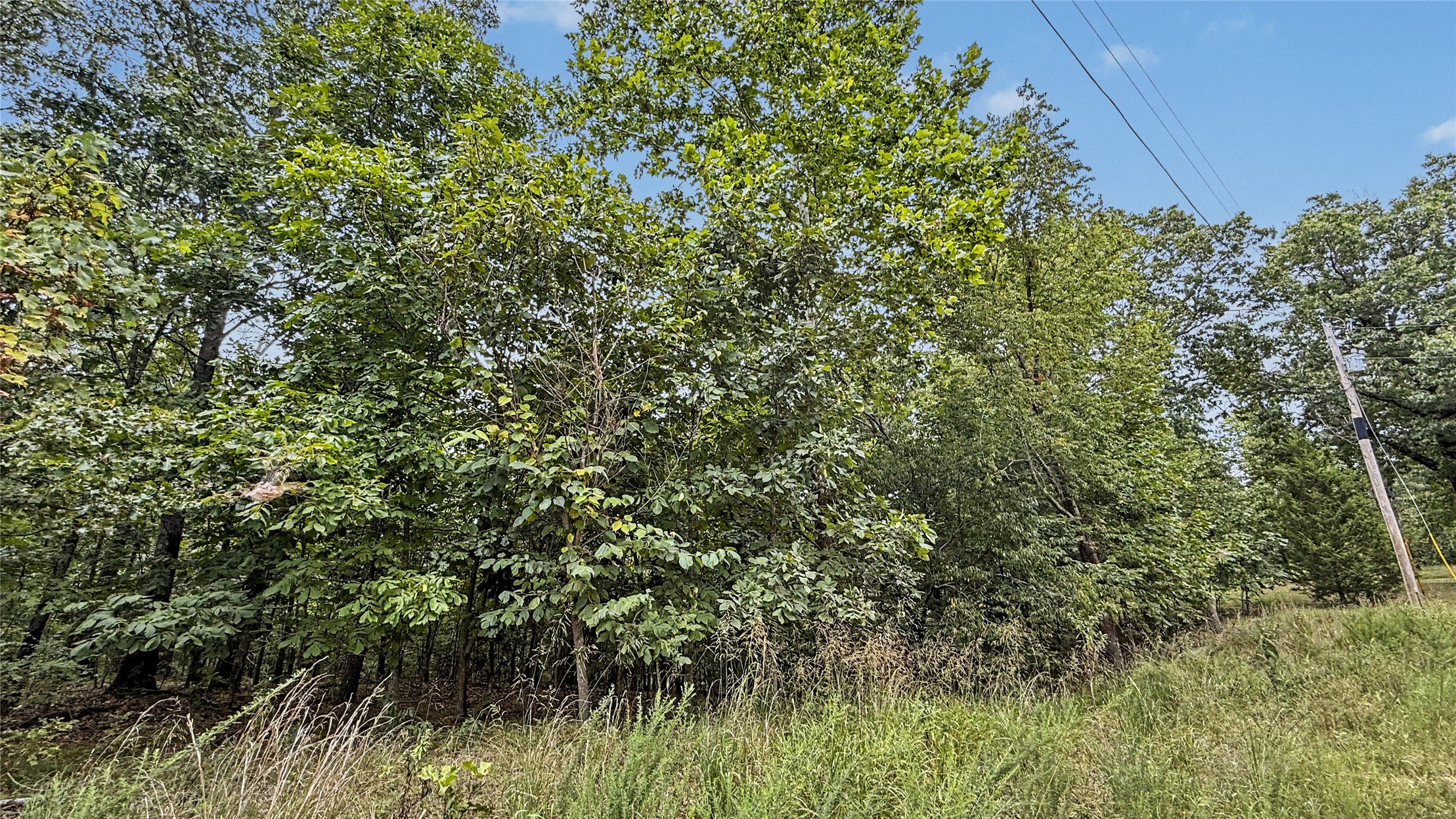 28280 Lame Deer Ridge Road Property Photo 4