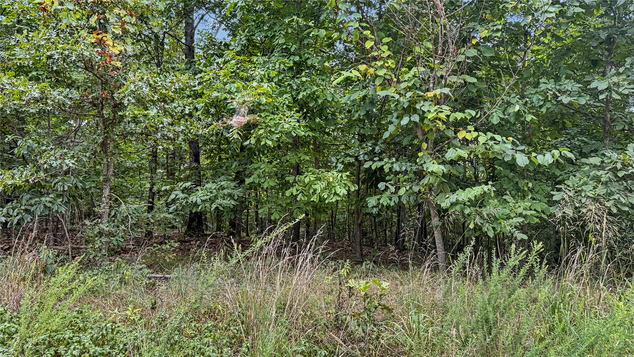 28280 Lame Deer Ridge Road Property Photo 5