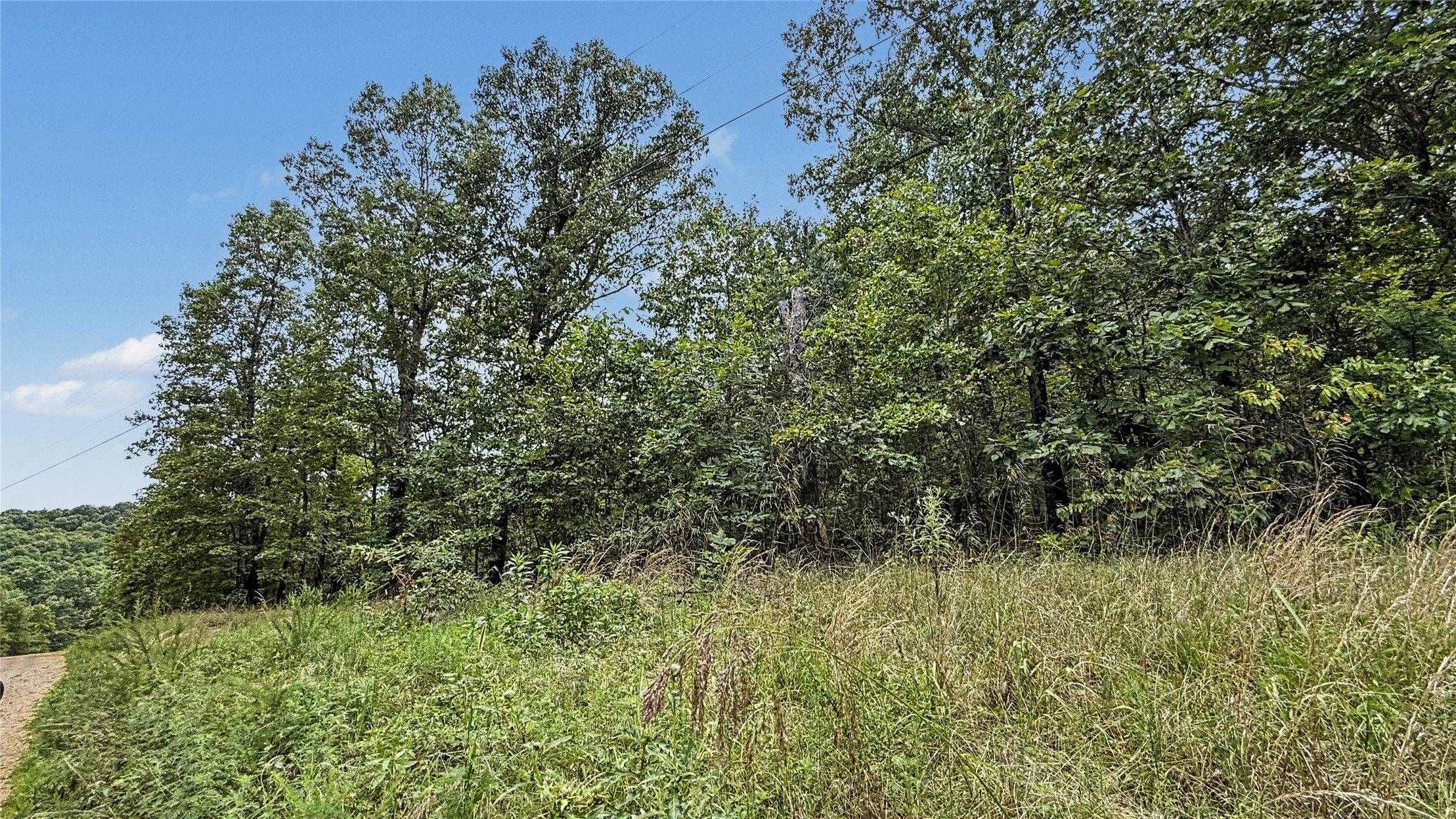 28280 Lame Deer Ridge Road Property Photo 6