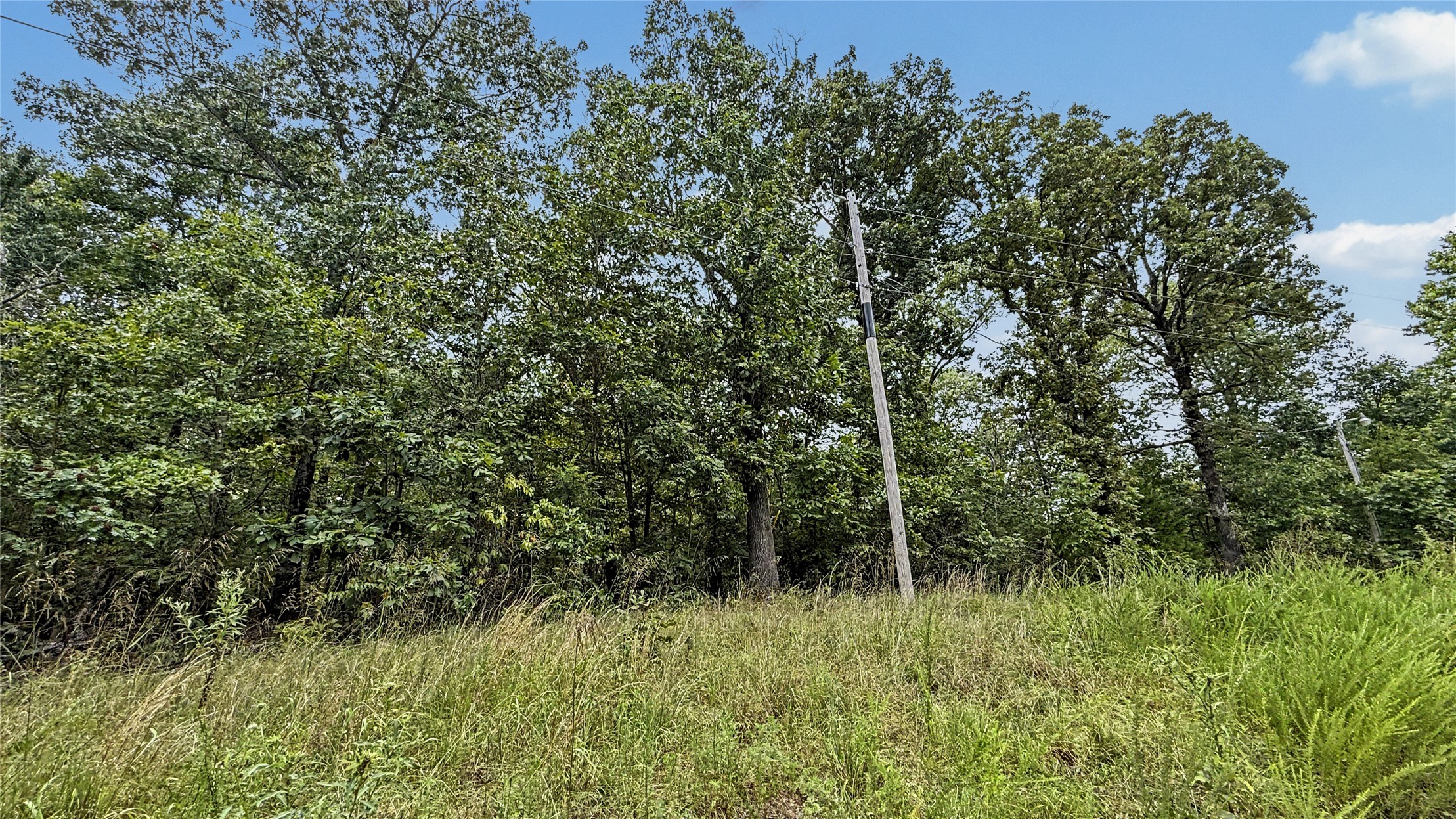 28280 Lame Deer Ridge Road Property Photo 7