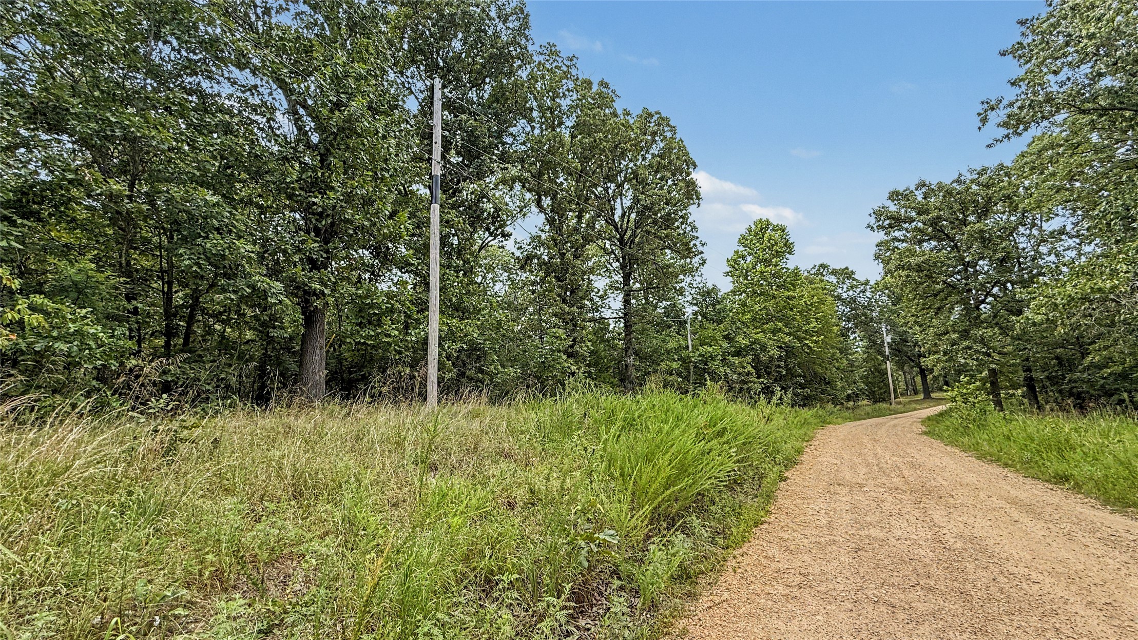 28280 Lame Deer Ridge Road Property Photo 8