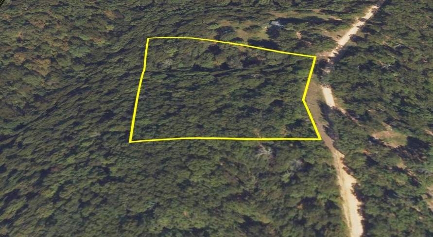 28280 Lame Deer Ridge Road Property Photo 9