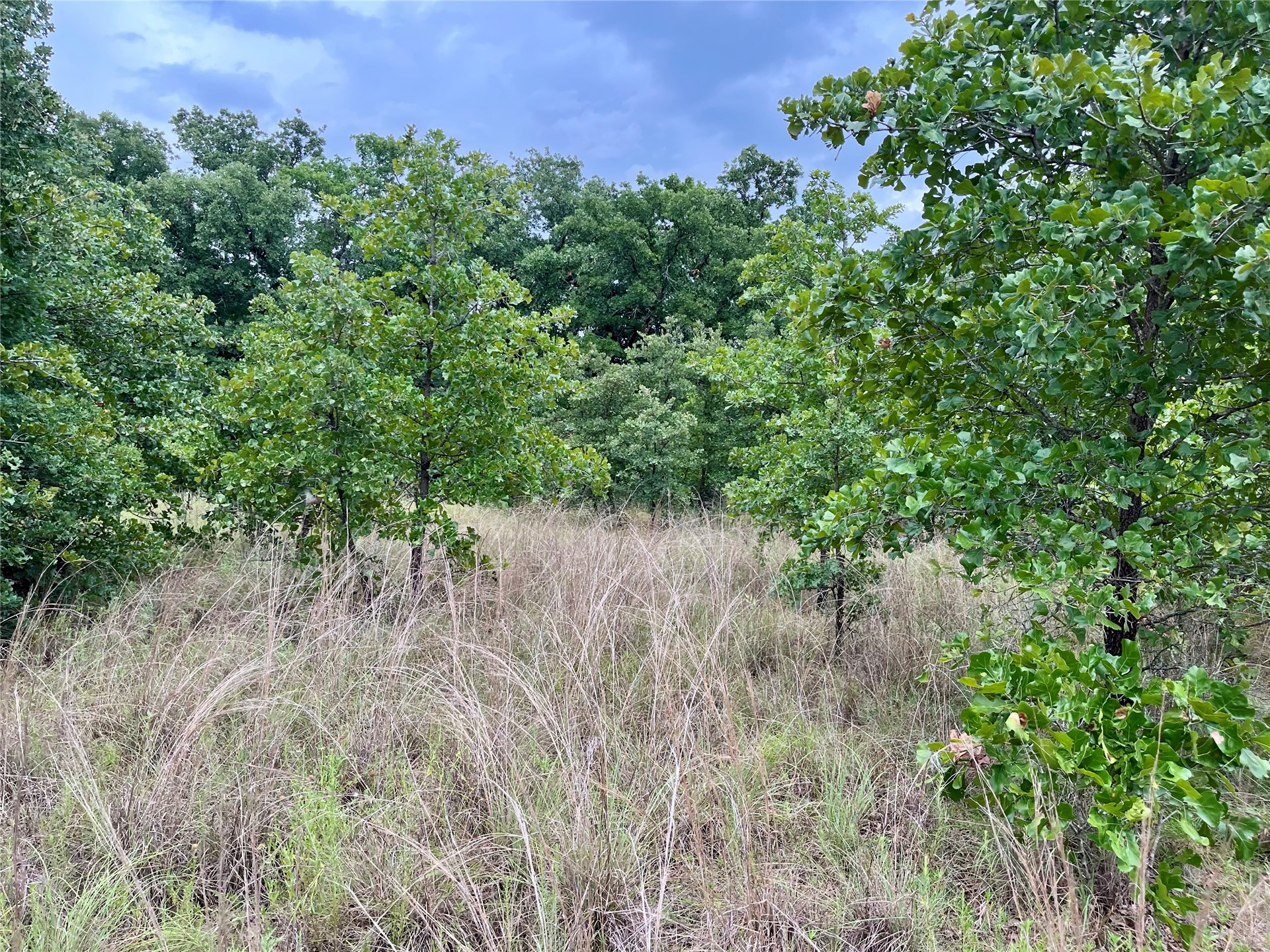 Maverick Road Property Photo 1