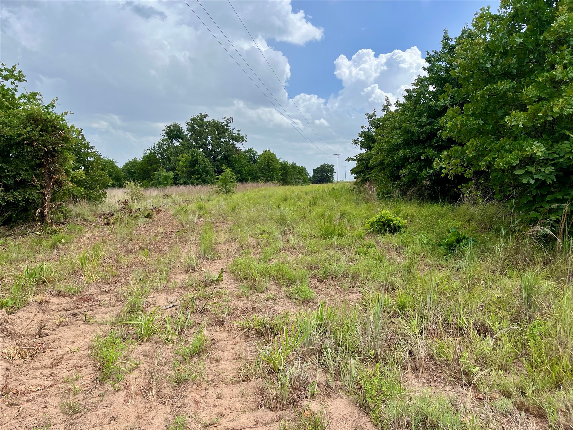 Maverick Road Property Photo 3