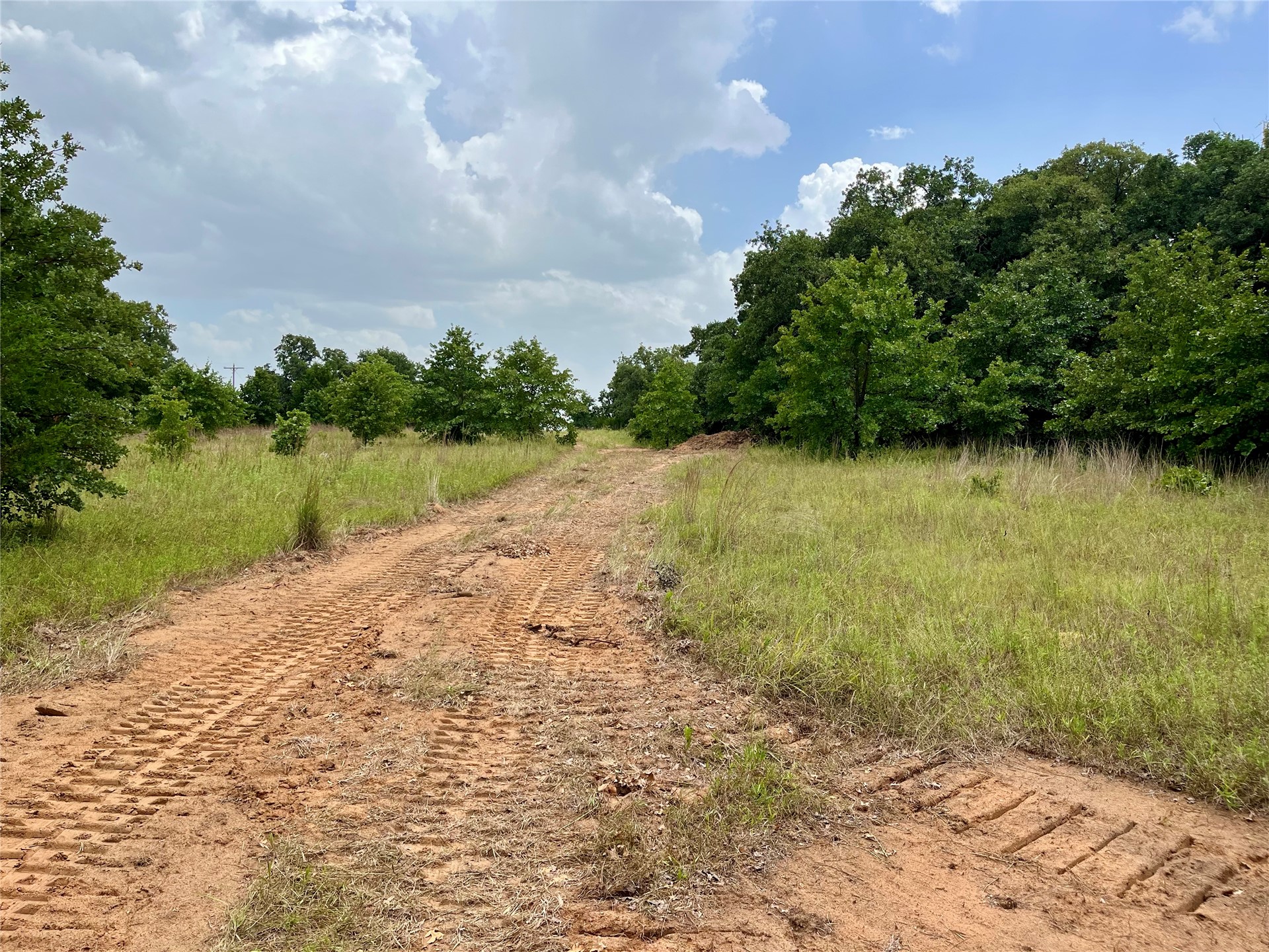 Maverick Road Property Photo 7