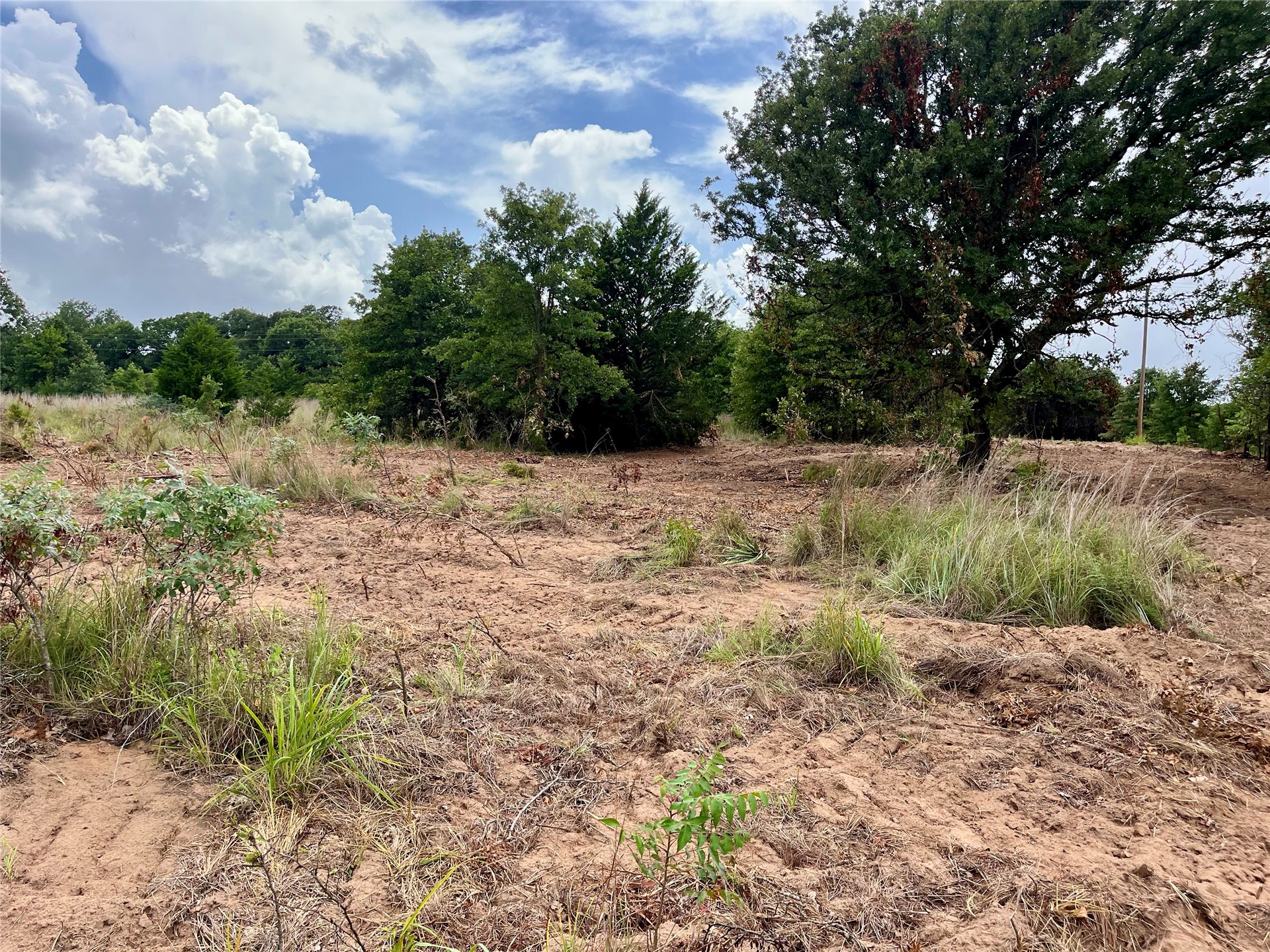 Maverick Road Property Photo 12